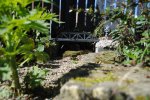 DSC_0094.JPG