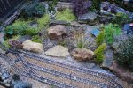DSC_0134.JPG