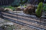 DSC_0129.JPG DSC_0129.JPG