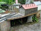 Getting rid of rot (7).JPG