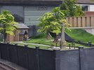 20160706_173405.jpg