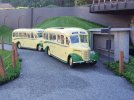 20160714_090554.jpg