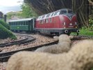 20160726_153851.jpg