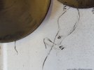 20160809_152723.jpg