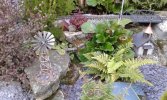 20161006_175219.jpg 20161006_175219.jpg