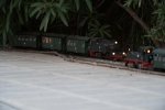 Chris Hols -428.jpg