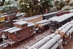 frost beaver yard 1.jpg