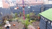 20161213_135043.jpg 20161213_135043.jpg
