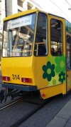 IMG-20161217-WA0009.jpg
