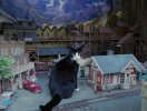 arrowhead makeover cat checks it out.jpg