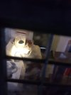 20170126_150806.jpg