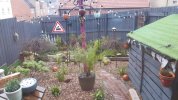 20170212_154720.jpg 20170212_154720.jpg