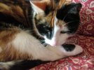 Mae (2).JPG