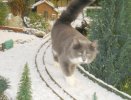 DSC00129.JPG