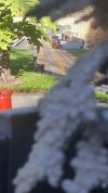 20170308_133314.jpg