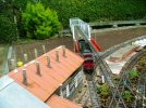 DSCF8536.JPG