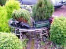 DSCF8546.JPG