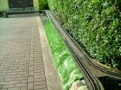 29.03.17. - green is the colour (2).JPG