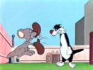 gmouse.jpg