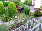 More clipped shrubs (4).JPG