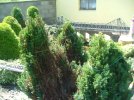 DSCF8821.JPG