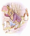 oldrabbit.jpg