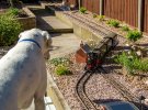 Train 14-05-2017-4.jpg