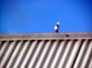DSCF4721.JPG