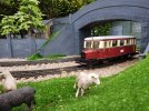 20170521_160626.jpg