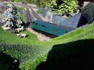 20170523_163546.jpg