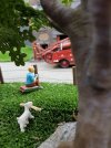 20170527_134452.jpg