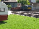 20170609_144035.jpg