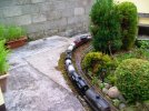 Annie with oil train (3).JPG
