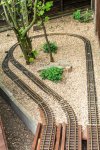 Train 25-06-2017-3.jpg