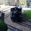 20170706_094759.jpg