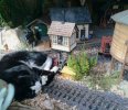late sun cat finds the spot.jpg