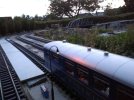 IMG_20170819_204746.jpg