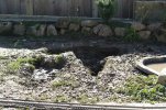 dog hole 002 (Medium).jpg