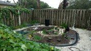 IMG_20170910_103129267.jpg