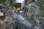 IMG_7658small.jpg