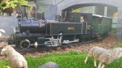 20171005_125951.jpg 20171005_125951.jpg