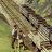 brtrainz