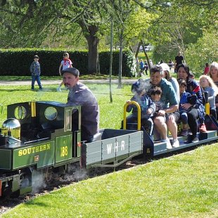 Media 'Pic of the Day 08.04.26' in album 'David's Pic of the Day'